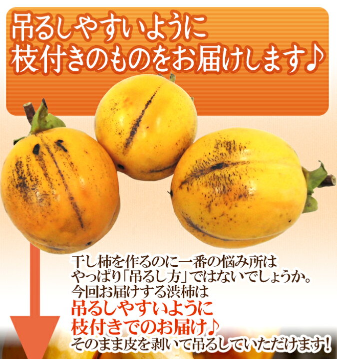 楽天市場】島根・鳥取・岡山産 干し柿・吊るし柿用 ”西条柿 渋柿” 約3kg 大きさおまかせ【予約 10月下旬以降】 送料無料 : くらし快援隊〜お中元お歳暮ギフト 楽天市場】島根・鳥取・岡山産 干し柿・吊るし柿用 ”西条柿 渋柿” 約3kg 大きさおまかせ【予約 10月下旬以降】 送料無料 : くらし快援隊〜お中元お歳暮ギフト