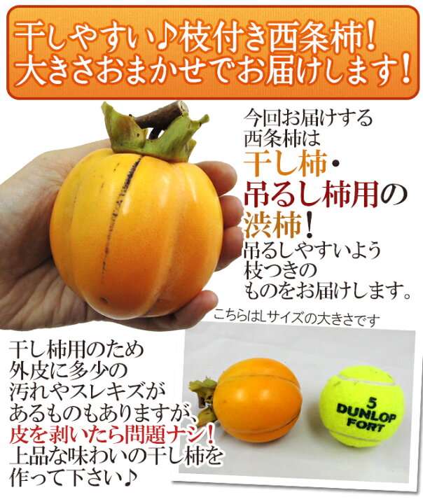 楽天市場】島根・鳥取・岡山産 干し柿・吊るし柿用 ”西条柿 渋柿” 約3kg 大きさおまかせ【予約 10月下旬以降】 送料無料 : くらし快援隊〜お中元お歳暮ギフト 楽天市場】島根・鳥取・岡山産 干し柿・吊るし柿用 ”西条柿 渋柿” 約3kg 大きさおまかせ【予約 10月下旬以降】 送料無料 : くらし快援隊〜お中元お歳暮ギフト
