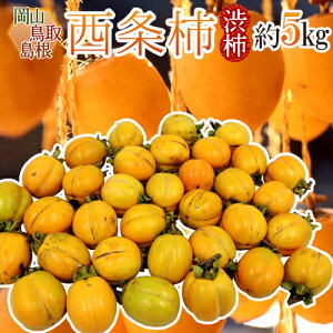 EERY `E݂邵`p h` a`h 5kg 傫܂y\ 10{ȍ~z 