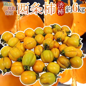 EERY `E݂邵`p h` a`h 6kg 傫܂y\ 10{ȍ~z 