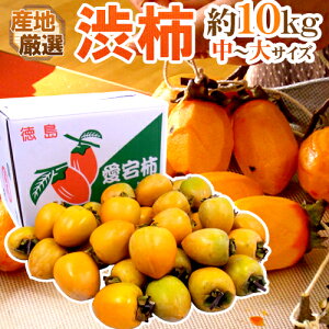 `E݂邵`p ha`h `TCY 10kg u`vua`vꂩ{ȎYnŁy\ 11{ȍ~z 