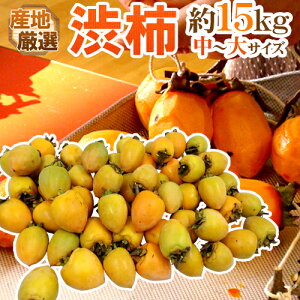 `E݂邵`p ha`h `TCY 15kg u`vua`vꂩ{ȎYnŁy\ 11{ȍ~z 
