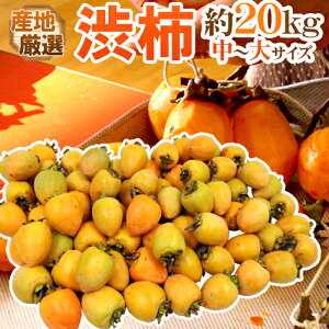 `E݂邵`p ha`h `TCY 20kg u`vua`vꂩ{ȎYnŁy\ 11{ȍ~z 