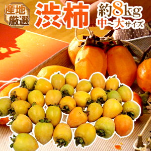 `E݂邵`p ha`h `TCY 8kg u`vua`vꂩ{ȎYnŁy\ 11{ȍ~z 