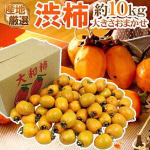 `E݂邵`p ha`h 10kg 傫܂ u`vua`vꂩ{ȎYnŁy\ 11{ȍ~z 