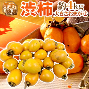 干し柿・吊るし柿用 ”渋柿” 約4kg 大きさおまかせ 「愛宕柿」「大和柿」いずれかを旬な産地で♪【予約 11月中旬以降】 送料無料