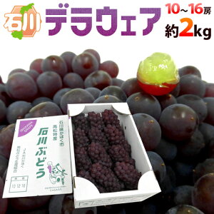 �ΐ�Y ��Ȃ��Ԃǂ� �h�f���E�F�A�h �G�i 10�`16�[ ��2kg�y�\�� 7����{�ȍ~�z ��������