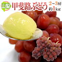 ”山梨産 甲斐路ぶどう” 秀品 2〜3房 約1kg以上【予約 9月中旬以降】 送料無料