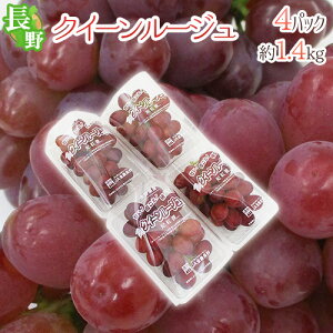 쌧 hNC[[Wh Gi 4pc 1.4kg pbN ԂԂǂy\ 9{ȍ~z 