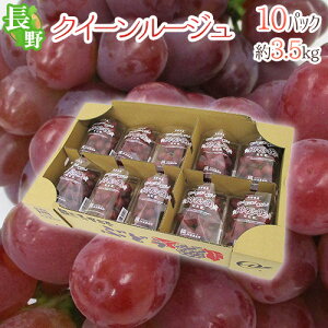 y9/25ISz|CgobN̑`Xz쌧 hNC[[Wh Gi 10pc 3.5kg pbN ԂԂǂy\ 9{ȍ~z 