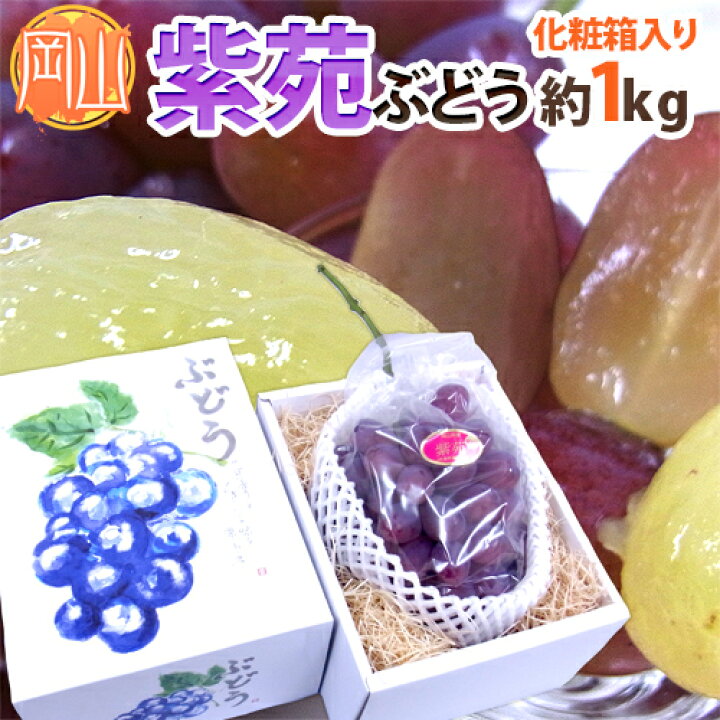楽天市場】岡山産 ”紫苑ぶどう” 秀品 超大房 1房 約1kg以上 化粧箱 