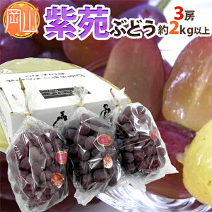 RY hԂǂh Gi [ 3[ 2kgȏy\ 10{ȍ~z 