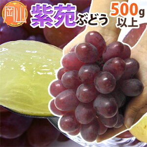 hRY Ԃǂh Gi 500gȏy\ 10{ȍ~z