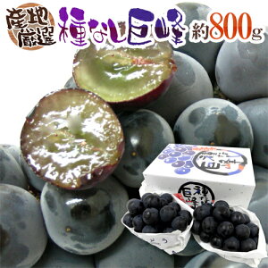 hȂh Gi 800g ϔ YnI Ԃǂy\ 7ȍ~z 