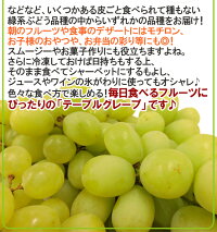 楽天市場 送料無料 種なしぶどう グリーンシードレス 2袋 約1 6kg ちょっと訳あり チリ アメリカ産他 青ぶどう 予約 6月下旬以降 くらし快援隊 母の日父の日お歳暮