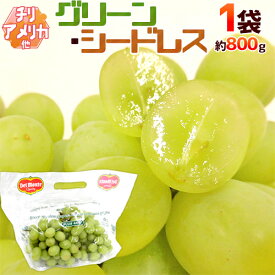 種なしぶどう ”グリーンシードレス” 1袋 約800g ちょっと訳あり チリ・アメリカ産他 青ぶどう【予約 入荷次第発送】 送料無料