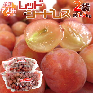 ȂԂǂ hbhV[hXh 2 1.6kg Ɩ󂠂 `EAJY ԂԂǂy\ ׎攭z 