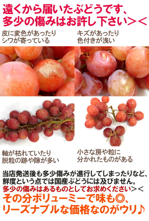 楽天市場】種なしぶどう ”レッドシードレス” 2袋 約1.6kg ちょっと訳あり チリ・アメリカ産他 赤ぶどう【予約 入荷次第発送】 送料無料 : くらし快援隊〜お中元お歳暮ギフト 楽天市場】種なしぶどう ”レッドシードレス” 2袋 約1.6kg ちょっと訳あり チリ・アメリカ産他 赤ぶどう【予約 入荷次第発送】 送料無料 : くらし快援隊〜お中元お歳暮ギフト
