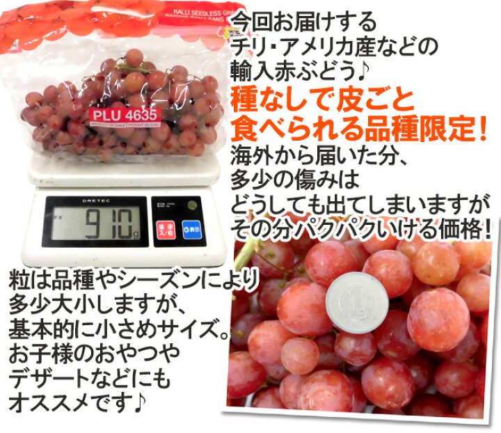 楽天市場】種なしぶどう ”レッドシードレス” 2袋 約1.6kg ちょっと訳あり チリ・アメリカ産他 赤ぶどう【予約 入荷次第発送】 送料無料 : くらし快援隊〜お中元お歳暮ギフト 楽天市場】種なしぶどう ”レッドシードレス” 2袋 約1.6kg ちょっと訳あり チリ・アメリカ産他 赤ぶどう【予約 入荷次第発送】 送料無料 : くらし快援隊〜お中元お歳暮ギフト