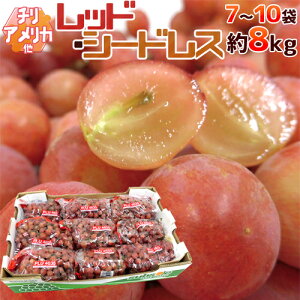 ȂԂǂ hbhV[hXh 7`10 8kg Ɩ󂠂 `EAJY ԂԂǂy\ ׎攭z 