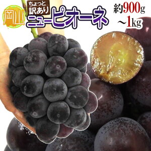 hRY Ȃj[sI[lh [ 1[ 900g`1kg Ɩ󂠂 Ԃǂy\ 9ȍ~z