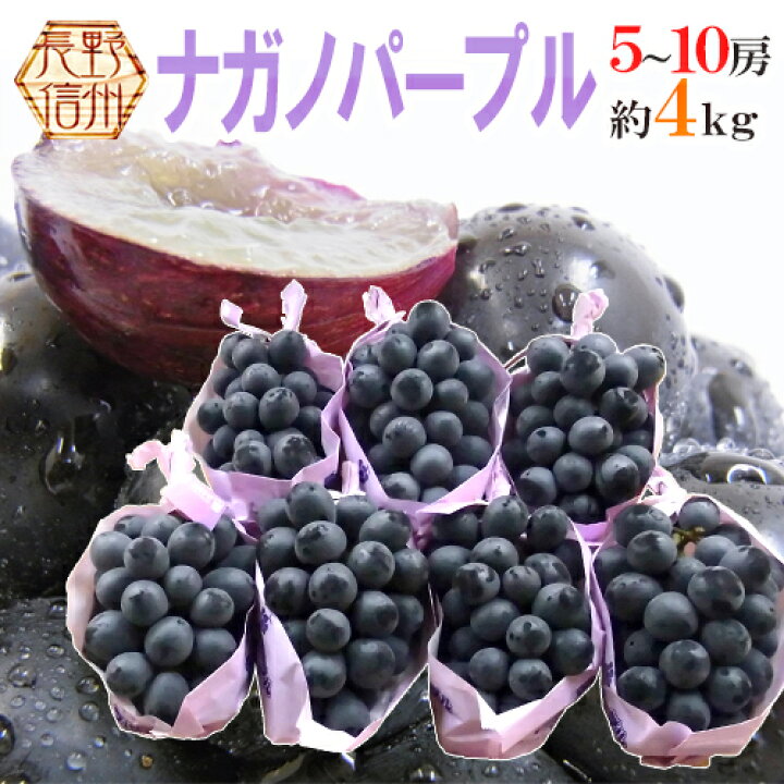 楽天市場】長野産 ”ナガノパープル” 秀品 5〜10房 約4kg ぶどう【予約 