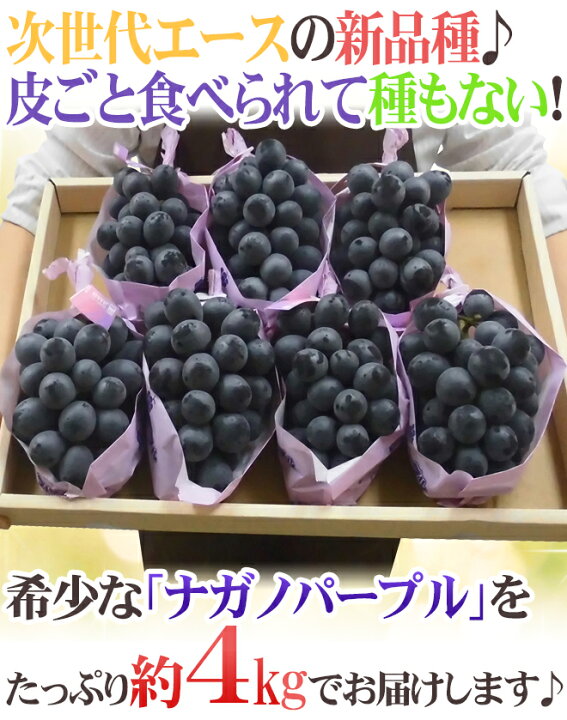 楽天市場】長野産 ”ナガノパープル” 秀品 5〜10房 約4kg ぶどう【予約 