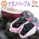 【送料無料】長野産 ”ナガノパープル” 2房 約1kg 秀品【予約 9月〜10月】[M1]【楽ギフ_包装】 ランキングお取り寄せ