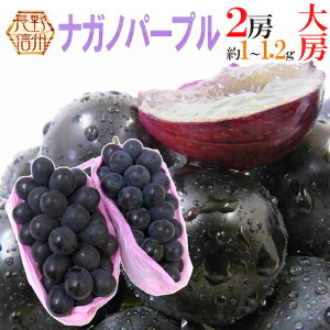 y9/5ISz|CgobN̑`XzY hiKmp[vh Gi [ 2[ 1`1.2kg Ԃǂy\ 9ȍ~z[B2]