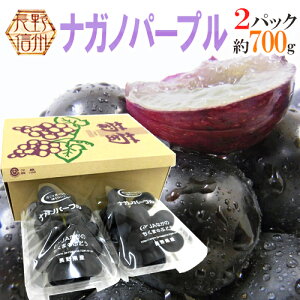 Y hiKmp[vh Gi 2pc 700g pbN Ԃǂy\ 8ȍ~z 