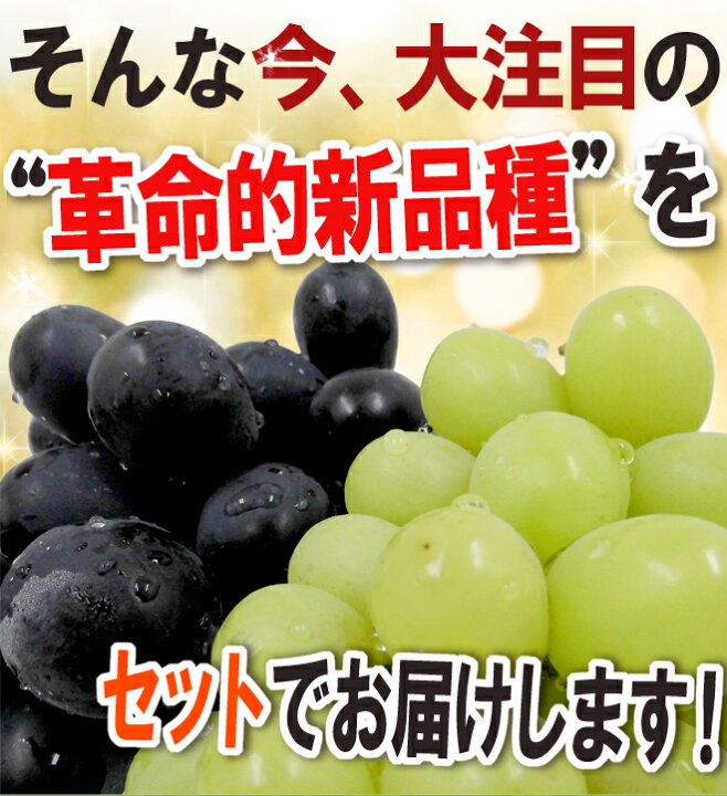 楽天市場】”シャインマスカット&ナガノパープル” 秀品 約350g×2pc+約350g×2pc 合計4pc約1.4kg 産地厳選 食べ比べ ぶどう【予約 9月以降】 送料無料 : くらし快援隊〜お中元お歳暮ギフト 楽天市場】”シャインマスカット&ナガノパープル” 秀品 約350g×2pc+約350g×2pc 合計4pc約1.4kg 産地厳選 食べ比べ ぶどう【予約 9月以降】 送料無料 : くらし快援隊〜お中元お歳暮ギフト