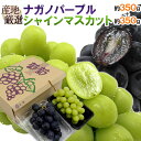【8/10限定！全額ポイントバックの大チャンス】”シャインマスカット＆ナガノパープル” 秀品 1pc約350g＋1pc約350g 合計2pc約700g 産地厳選 食べ比べ ぶどう【予約 9月以降】 送料無料