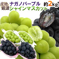 ”シャインマスカット＆ナガノパープル” 秀品 合計約2kg 産地厳選 食べ比べ ぶどう【予約 9月以降】 送…