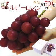 石川産 ”ルビーロマン” 大房 1房 約700g以上【予約 8月以降】 送料無料