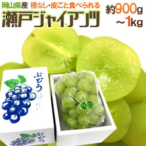 RY h˃WCAch [ 1[ 900g`1kg ϔ Ԃǂy\ 8ȍ~z 