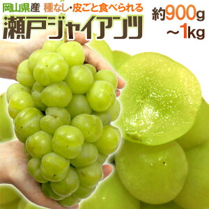 RY h˃WCAch Gi [ 900g`1kg Ԃǂy\ 9ȍ~z