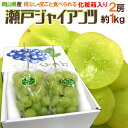 【送料無料】岡山産 ”瀬戸ジャイアンツ” 化粧箱 2房 約1kg【予約 7月中下旬以降】【楽ギフ_包装】 ランキングお取り寄せ