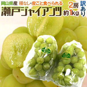 RY h˃WCAch 󂠂 2[ 1kg Ԃǂy\ 9ȍ~z