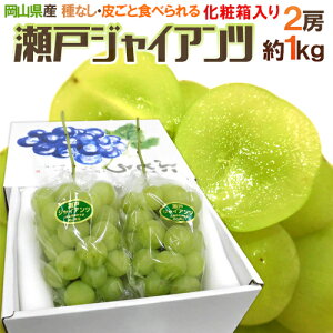 RY h˃WCAch 2[ 1kg ϔ Ԃǂ[K1]y\ 8ȍ~z 