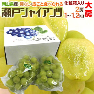 RY h˃WCAch [ 2[ 1`1.2kg ϔ Ԃǂ[K2]y\ 8ȍ~z 