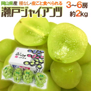y9/25ISz|CgobN̑`XzRY h˃WCAch 3`6[ 2kg ϔ Ԃǂy\ 8ȍ~z 