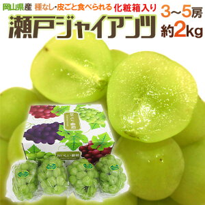 RY h˃WCAch Gi 3`5[ 2kg ϔ Ԃǂy\ 9ȍ~z [K1]