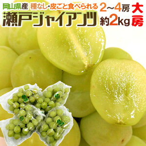 RY h˃WCAch [ 2`4[ 2kg Ԃǂ[B2]y\ 8ȍ~z
