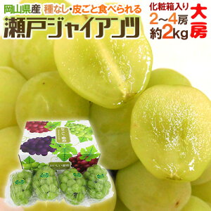 y9/20ISz|CgobN̑`XzRY h˃WCAch Gi [ 2`4[ 2kg ϔ Ԃǂy\ 9ȍ~z [K2]