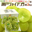 【送料無料】岡山産 ”瀬戸ジャイアンツ” 化粧箱 4〜7房 約3kg[K1]【予約 7月末〜8月以降】【楽ギフ_包装】 ランキングお取り寄せ