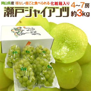 RY h˃WCAch 4`7[ 3kg ϔ Ԃǂ[K1]y\ 8ȍ~z 