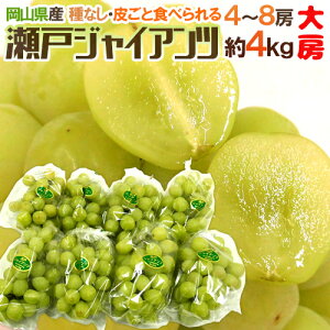 y9/25ISz|CgobN̑`XzRY h˃WCAch Gi [ 4`8[ 4kg Ԃǂy\ 9ȍ~z [M2]