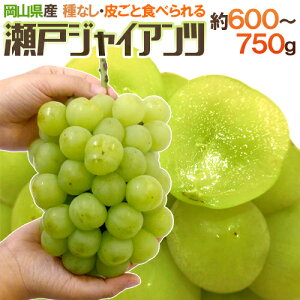 RY h˃WCAch [ 600g`750g Ԃǂy\ 9ȍ~z