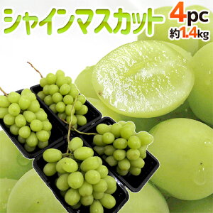 hVC}XJbgh Gi 4pc 1.4kg YnI pbNy\ 7{ȍ~z 