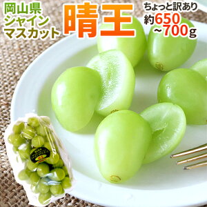 RY hVC}XJbguvh [ 1[ 600g Ԃǂy\ 7{ȍ~z
